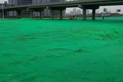 绿色盖土网
